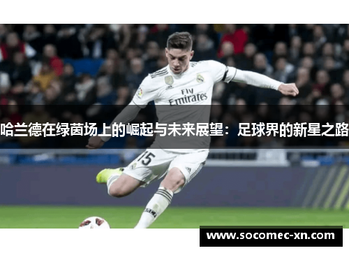 哈兰德在绿茵场上的崛起与未来展望：足球界的新星之路