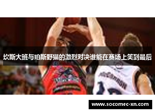 坎斯大班与珀斯野猫的激烈对决谁能在赛场上笑到最后